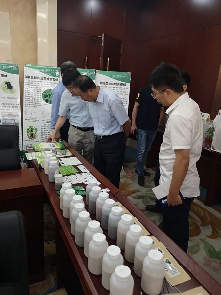 天敵昆蟲防控技術(shù)研發(fā)項(xiàng)目通過中期檢查，網(wǎng)絡(luò)技術(shù)賦能綠色農(nóng)業(yè)發(fā)展